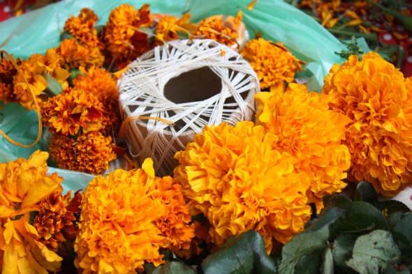 Preparing strings of marigold