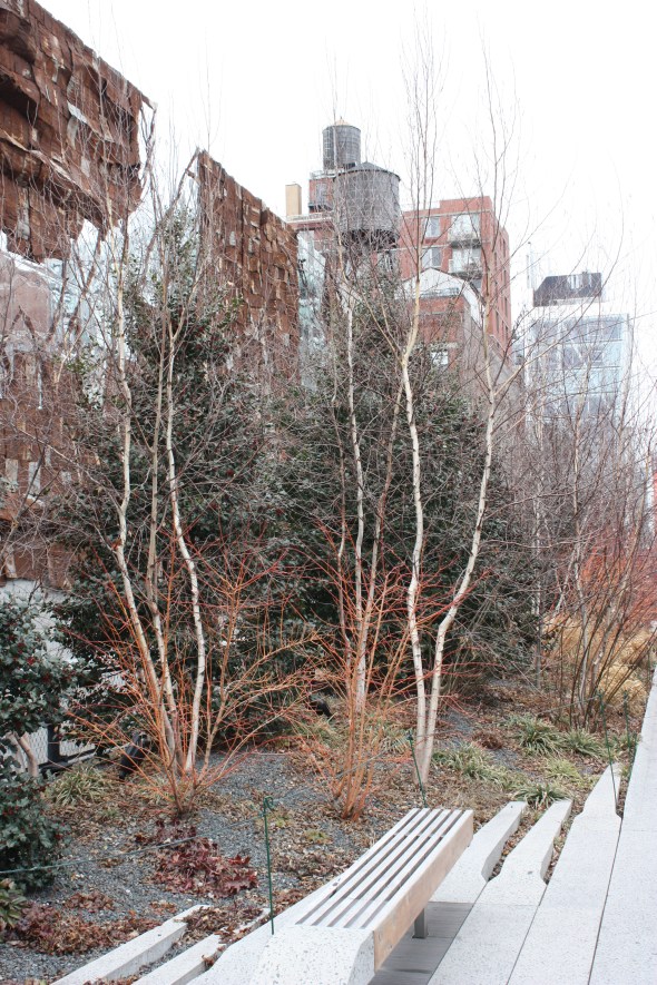 The High Line in winter