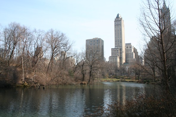 Central Park