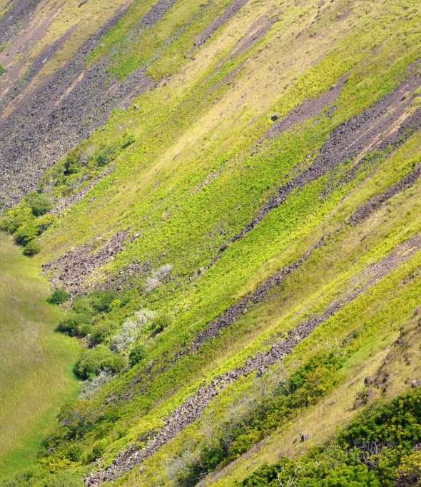 Vivid colours of the vegetation on the crater rim
