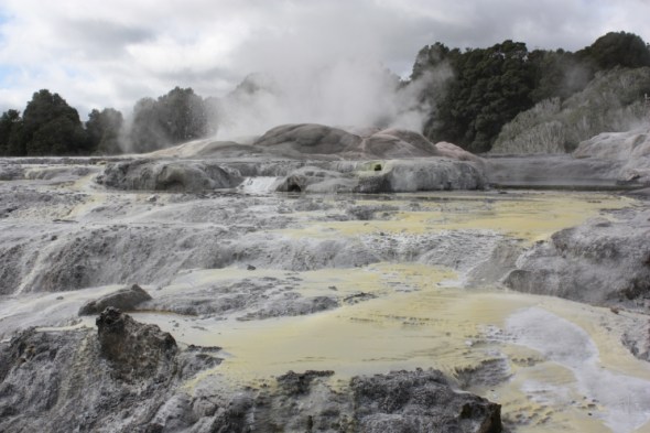 Mud pools and steam, Rotorua