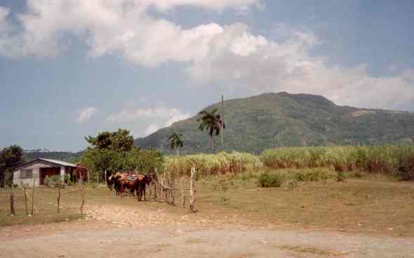Never take a horse ride in the midday sun