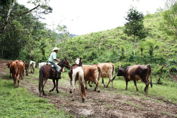 Riding with the cowboys up near the border with Guatemala