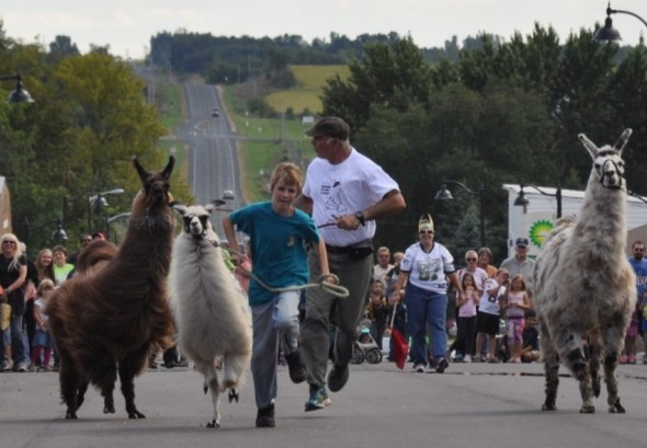 The races are hard fought!