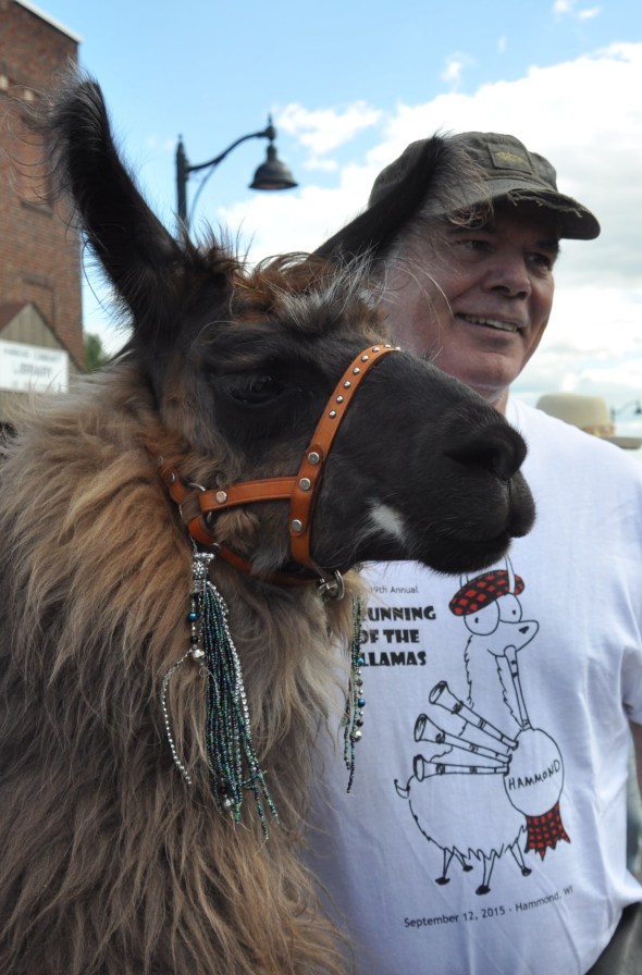 Winner of one of the heats