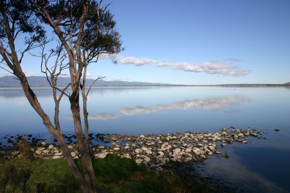 Lake Wairarapa, near to the wineries of Martinborough Photo by K1w1m0nk1e CC BY-SA 4.0 via Wikimedia Commons