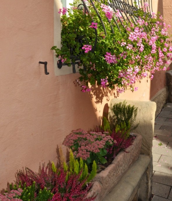Troughs and window boxes crammed with flowers can be found throughout the town