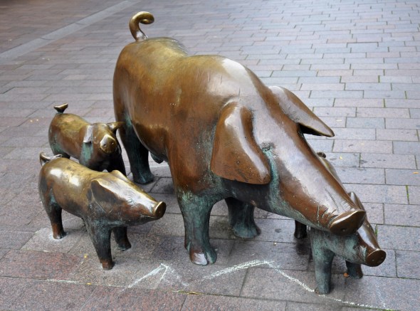 Pigs used to roam along Sogestrasse munching on scraps
