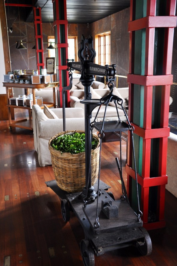 The table laid for tea tasting; flavour and strength are determined only by how small the leaves have been ground