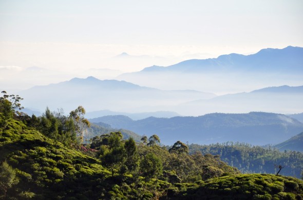 Sri Lanka's hill country is easily explored by train