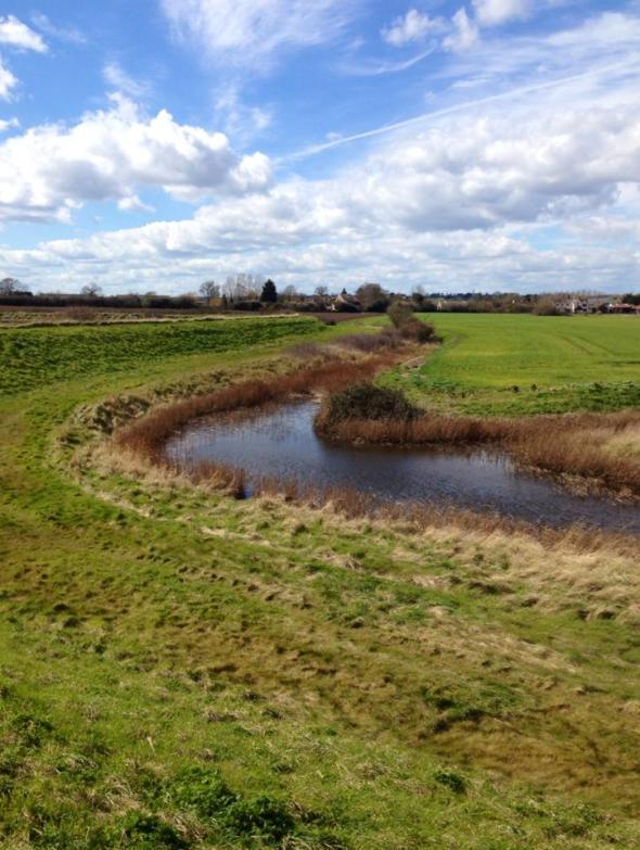 12920240_10207878103858252_3113961670457347982_n