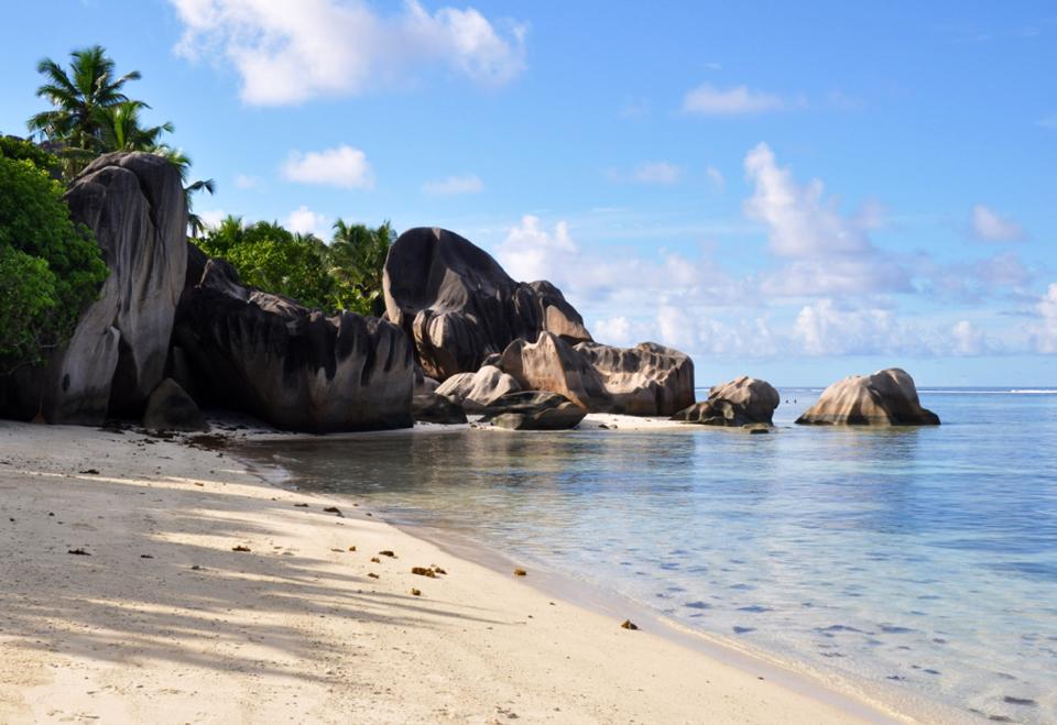 1914566_10207771872002522_467734680855073929_n