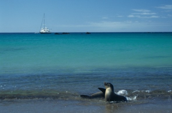 3391667551_886d122531_o