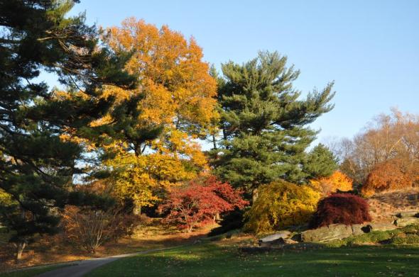 154590_10204275149866654_584630424061138739_n