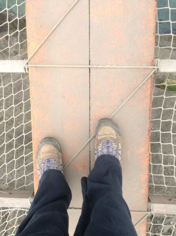 485526_10200672996655075_920767580_n