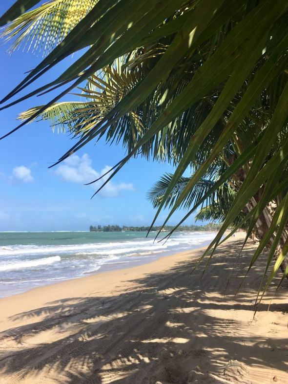 16105936_10210274114877030_5079054604556801583_n