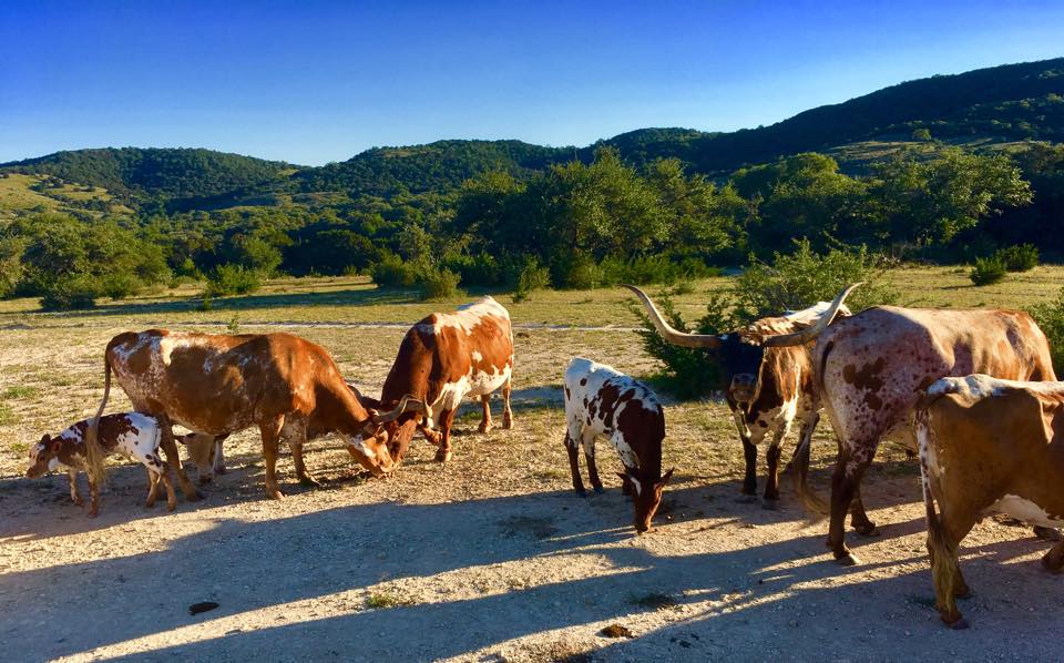 18698039_10211471250844681_6464142046817995568_n