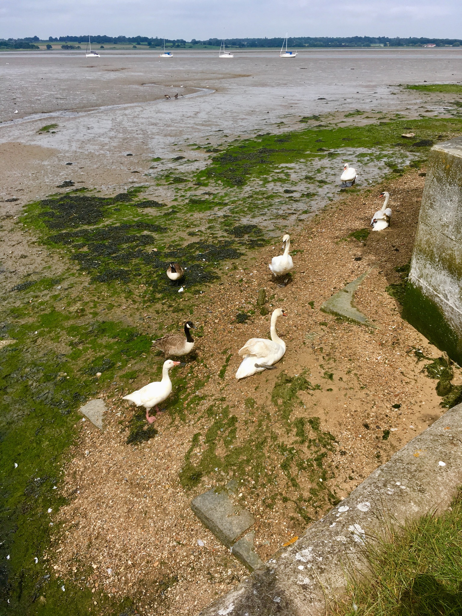 4DA681D3-740D-4ED0-8F65-89C9DEF7F07F