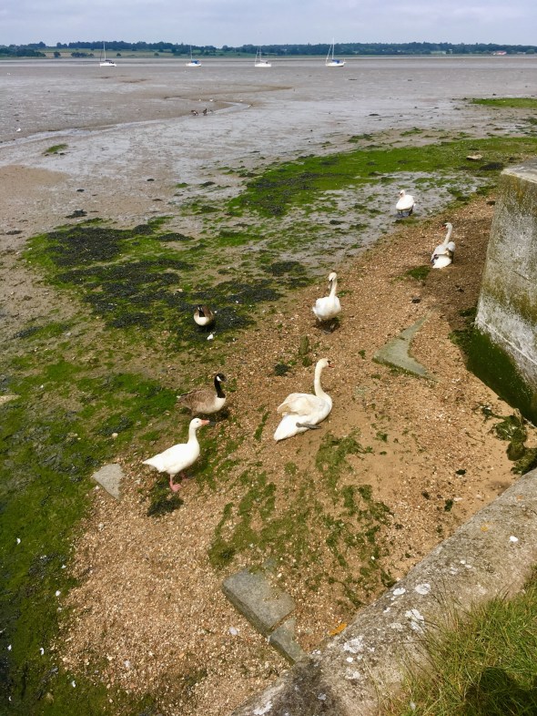 4DA681D3-740D-4ED0-8F65-89C9DEF7F07F