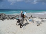 barbados-233988
