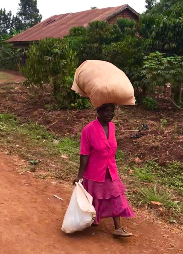 2EC3B28D-438A-4485-90AB-54F00E1F0337