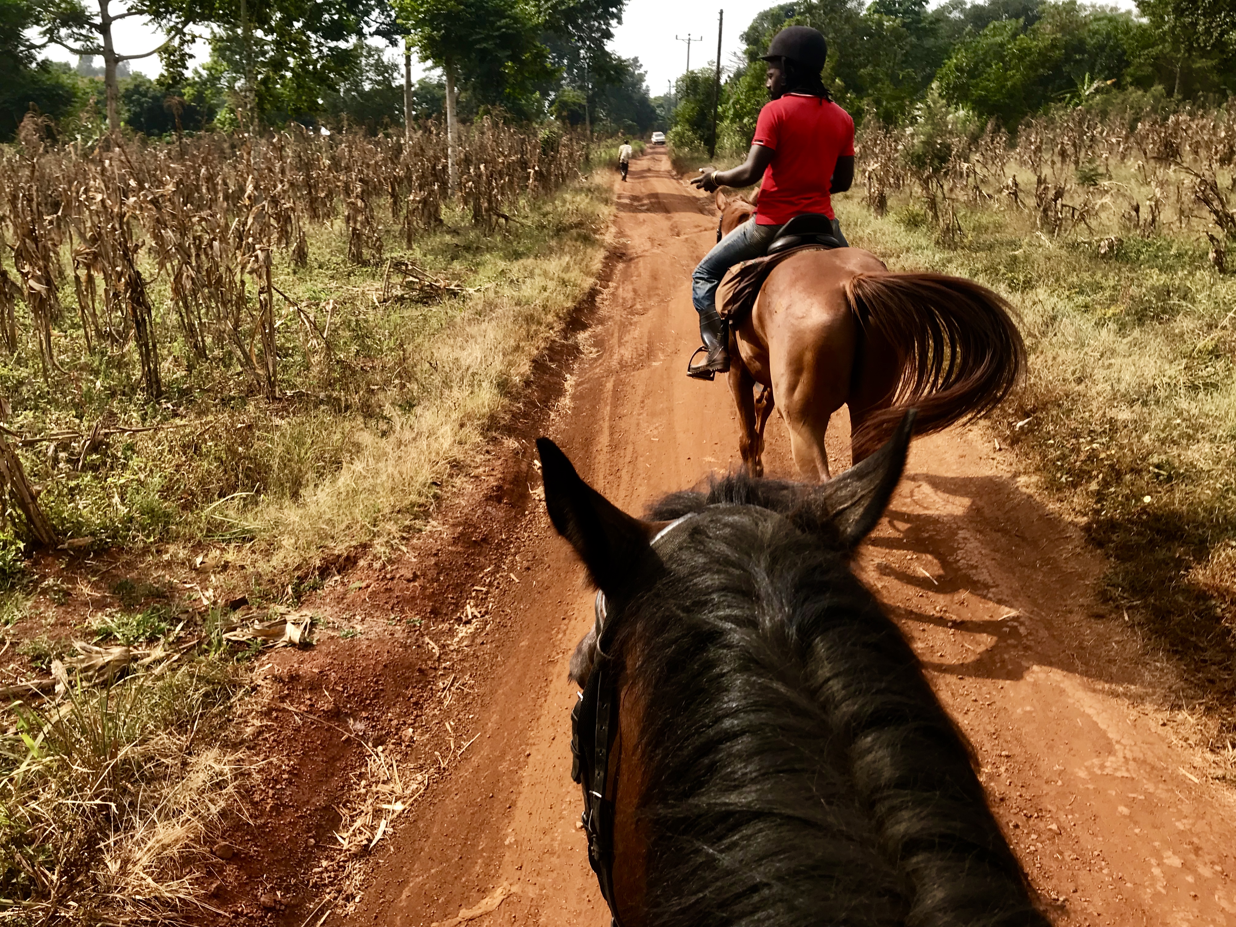 5C887CEE-0D25-446A-8AB5-DBA006937BC7