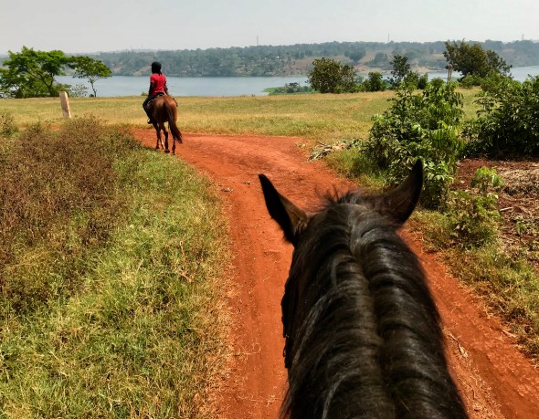 644FFF69-30EA-45E9-A630-2E6F92A77391