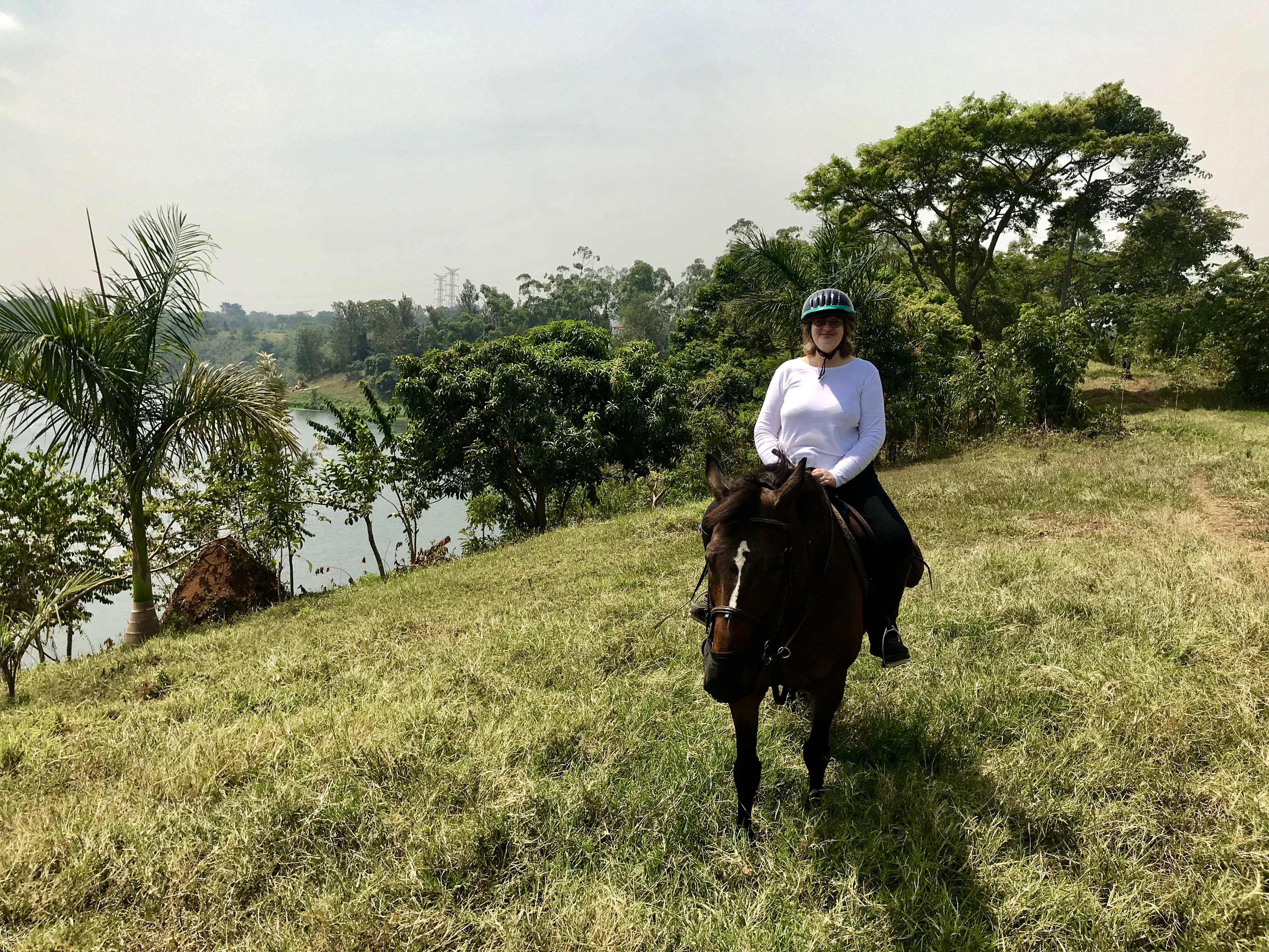 9E26E508-3872-42FE-B449-DEC489BDCB67