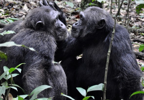 0DBF9E27-73CC-43FB-966E-424F9889F758