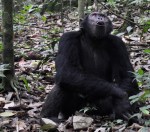 140A420F-A068-42A5-A850-317189D0E434