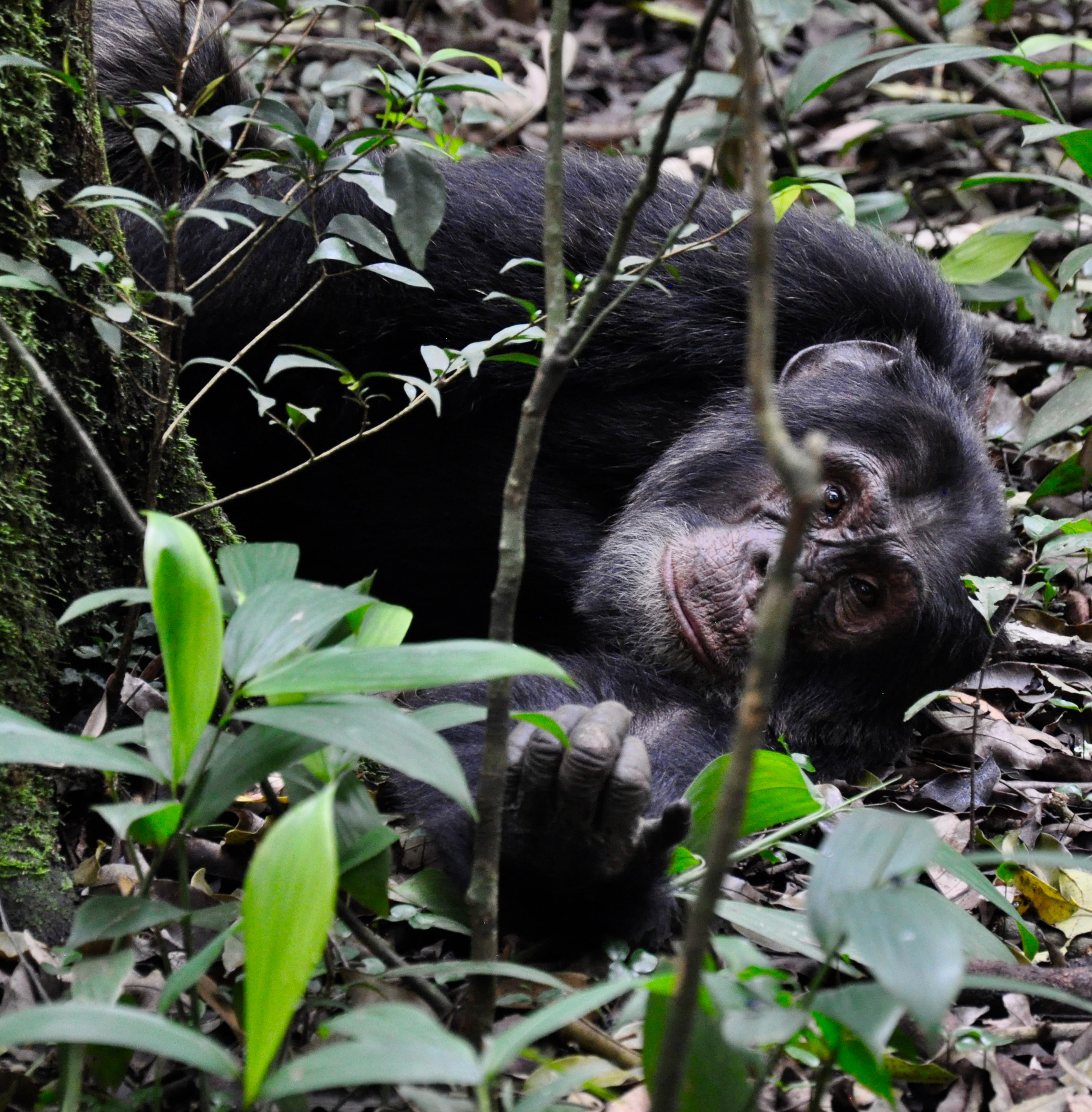 152300DD-4EAB-46A7-B9E7-84637BDE71F0