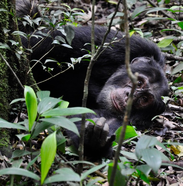 152300DD-4EAB-46A7-B9E7-84637BDE71F0