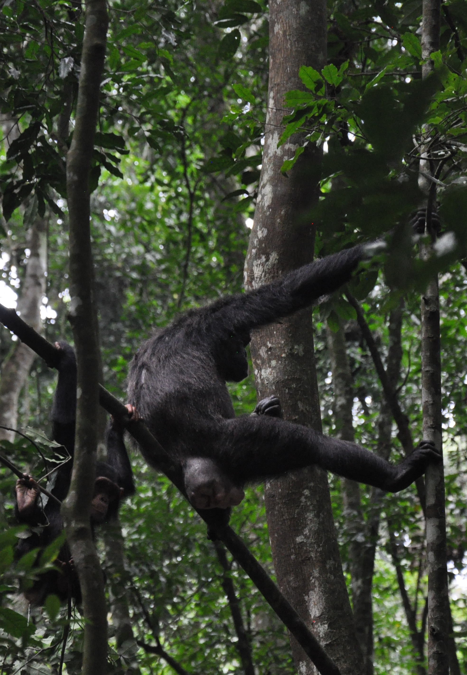 15601AE4-99B9-4E8C-BF3C-E8F8E9C20D0E