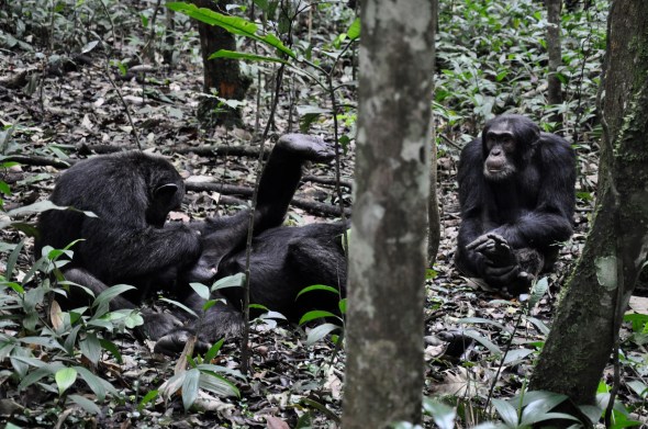 4D8DEF58-7FD5-4713-931B-84979C35F3E2