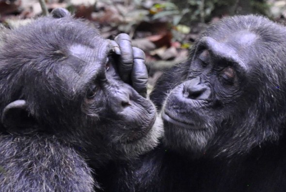 9E0FFAED-19A0-4347-852F-A44613DA33A0