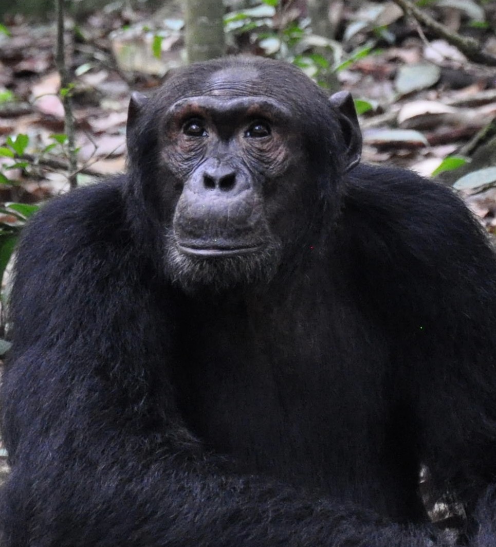 F80E8FCD-413B-4D7A-BA13-175D3347B351