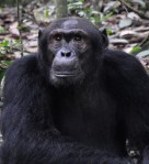 F80E8FCD-413B-4D7A-BA13-175D3347B351