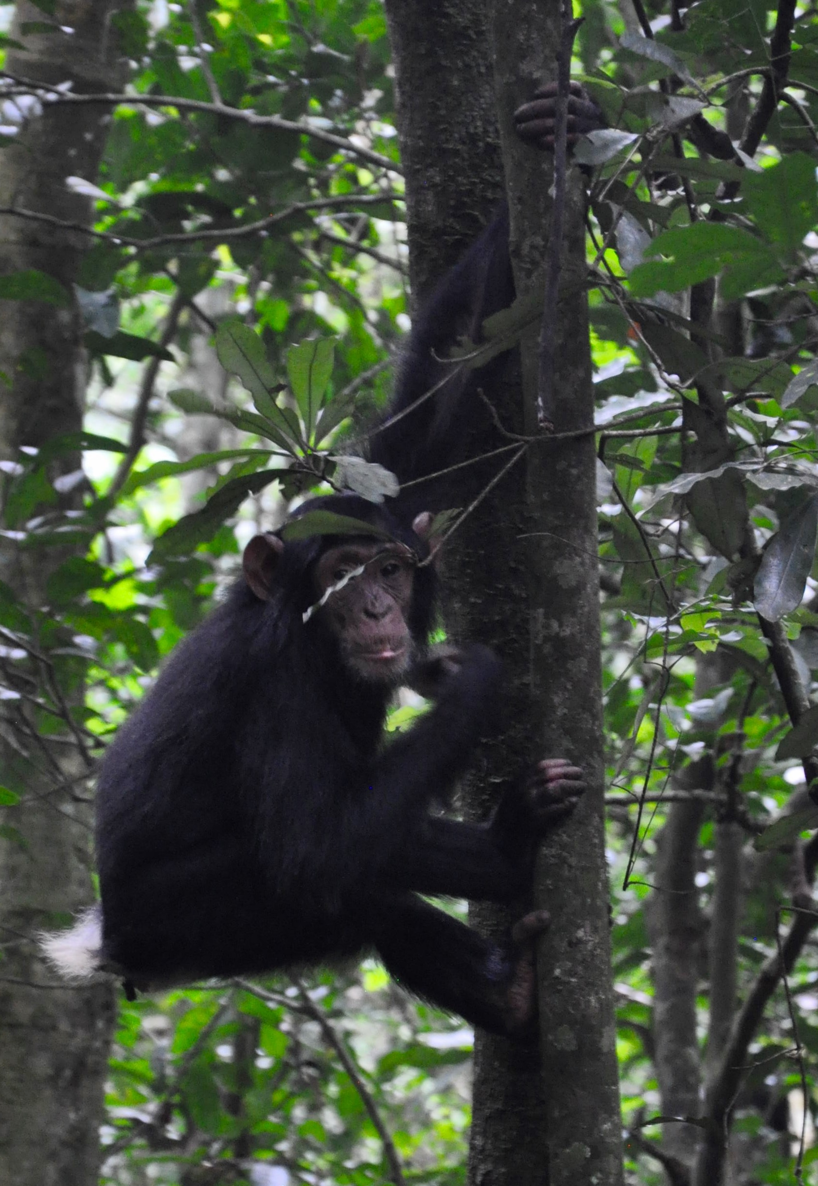 FB793DCA-6931-43F2-98A7-8E087A6114D9