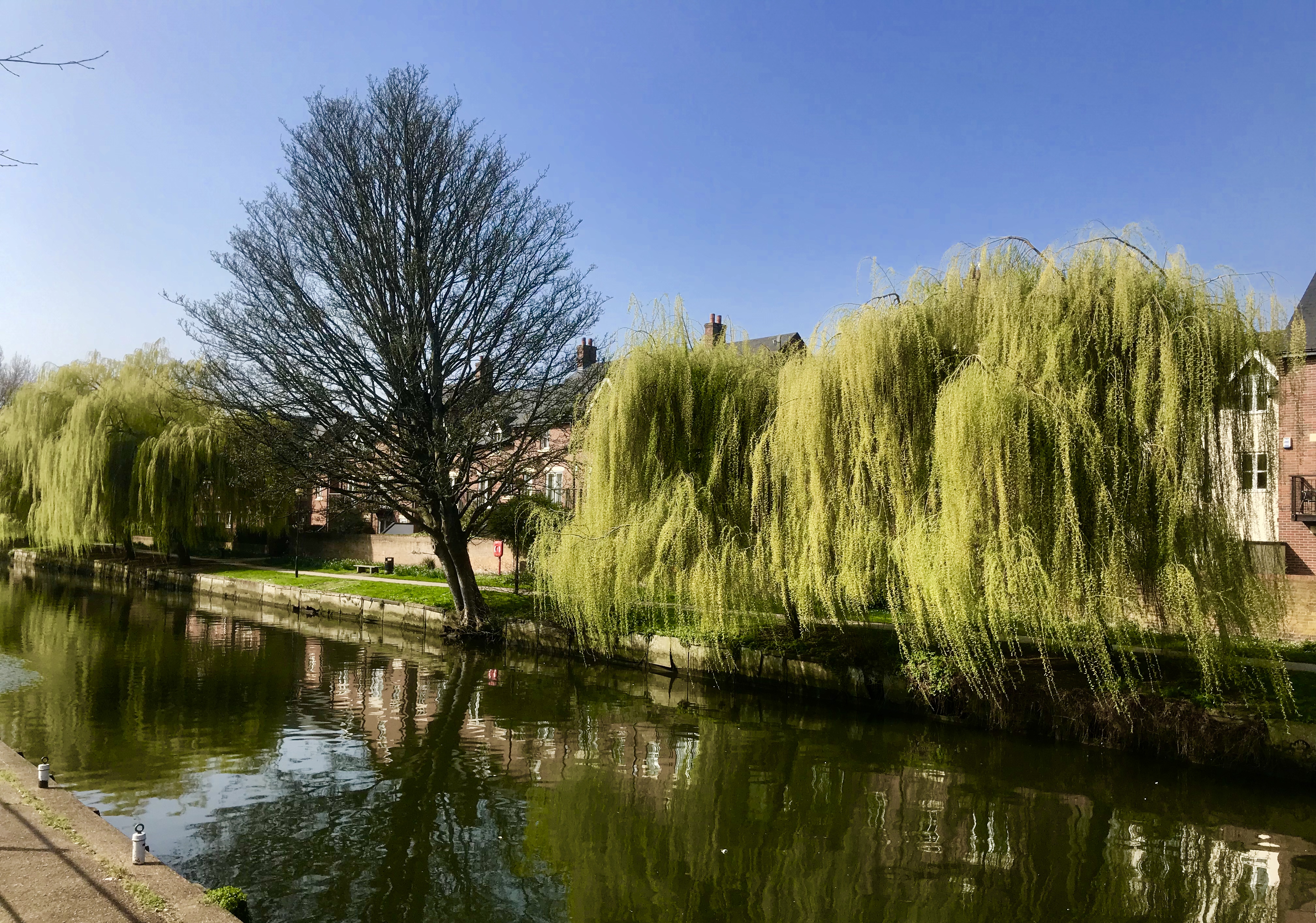 2228243A-7FF3-4CDD-B6DE-0BC91D09FCE5