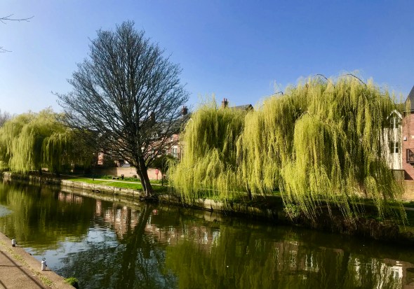 2228243A-7FF3-4CDD-B6DE-0BC91D09FCE5