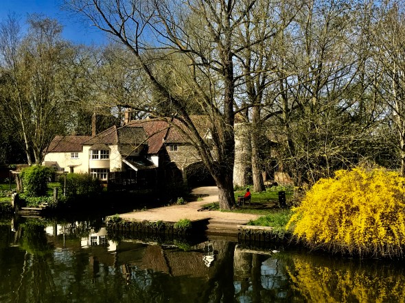 468E9773-24AE-4336-9BD0-524B76F206A2