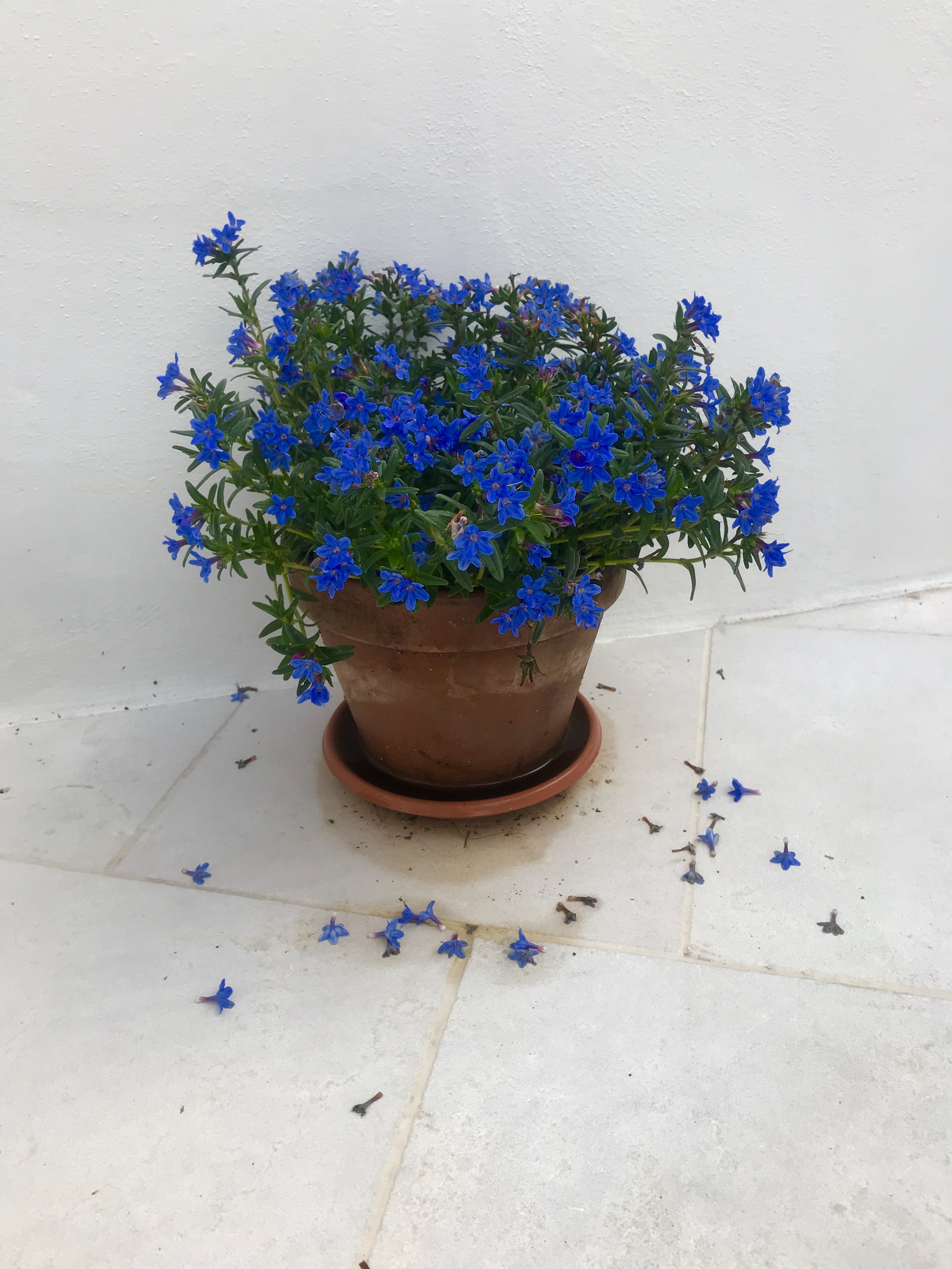 32EC7EEA-F9CE-4B73-8317-9835A50DCFAA