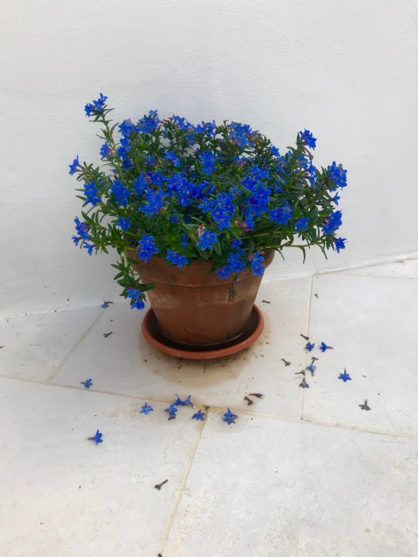 32EC7EEA-F9CE-4B73-8317-9835A50DCFAA