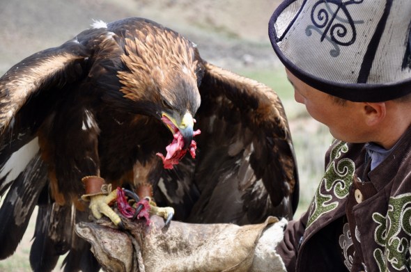 FullSizeRender - 2019-05-31T060417.143