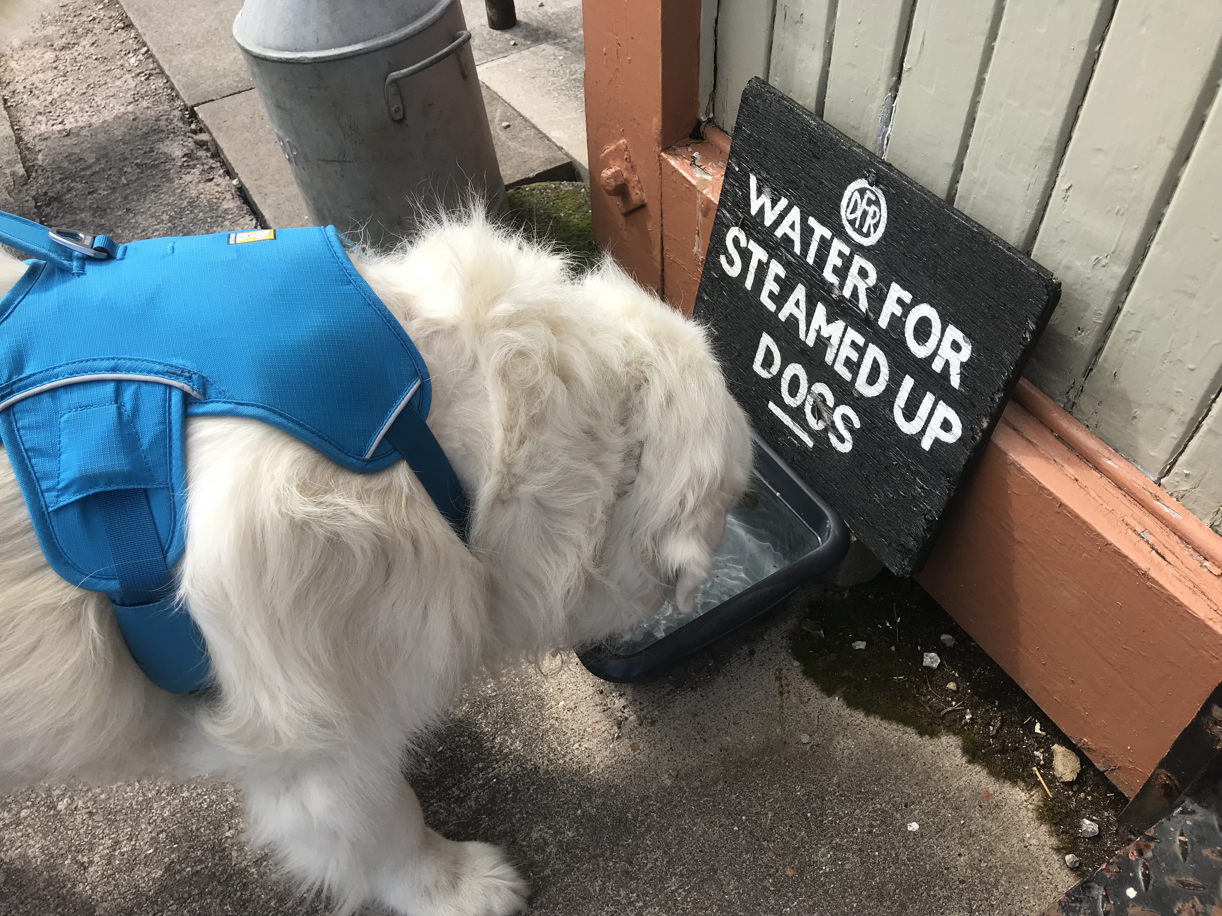 0E721948-29F0-43C3-AE87-134EB6B369E0