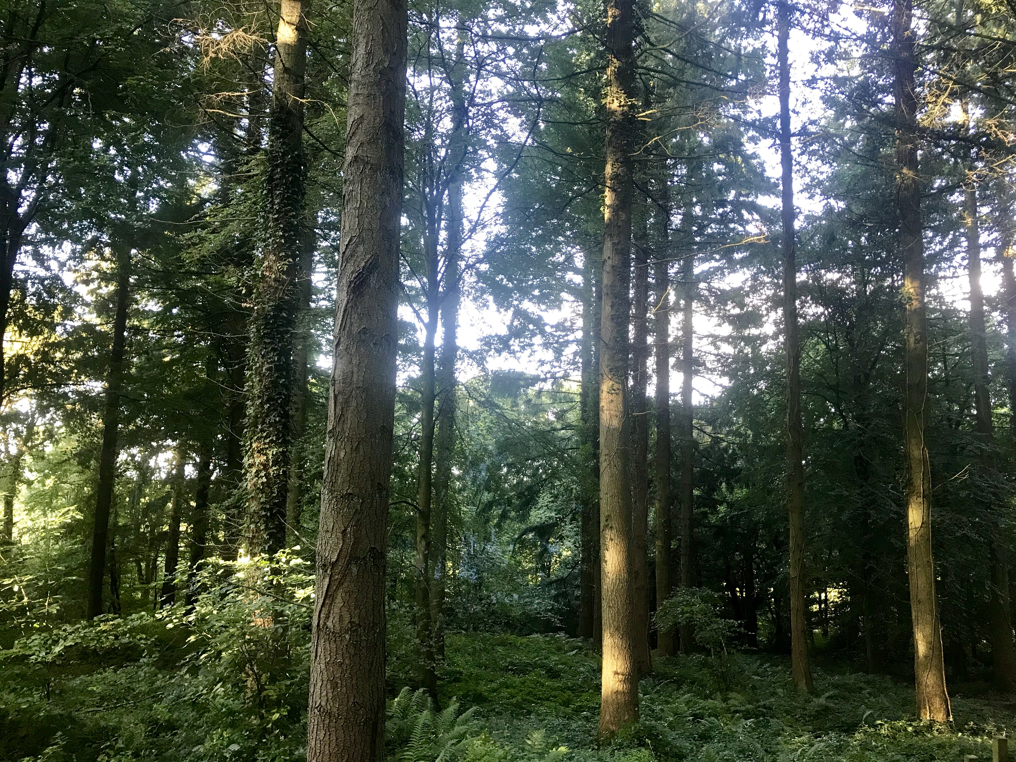 383D1849-40D1-4892-8DEF-7D7429FFB906