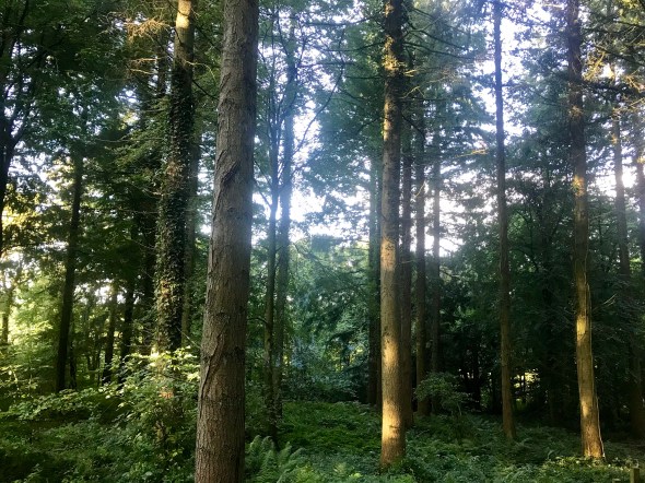 383D1849-40D1-4892-8DEF-7D7429FFB906