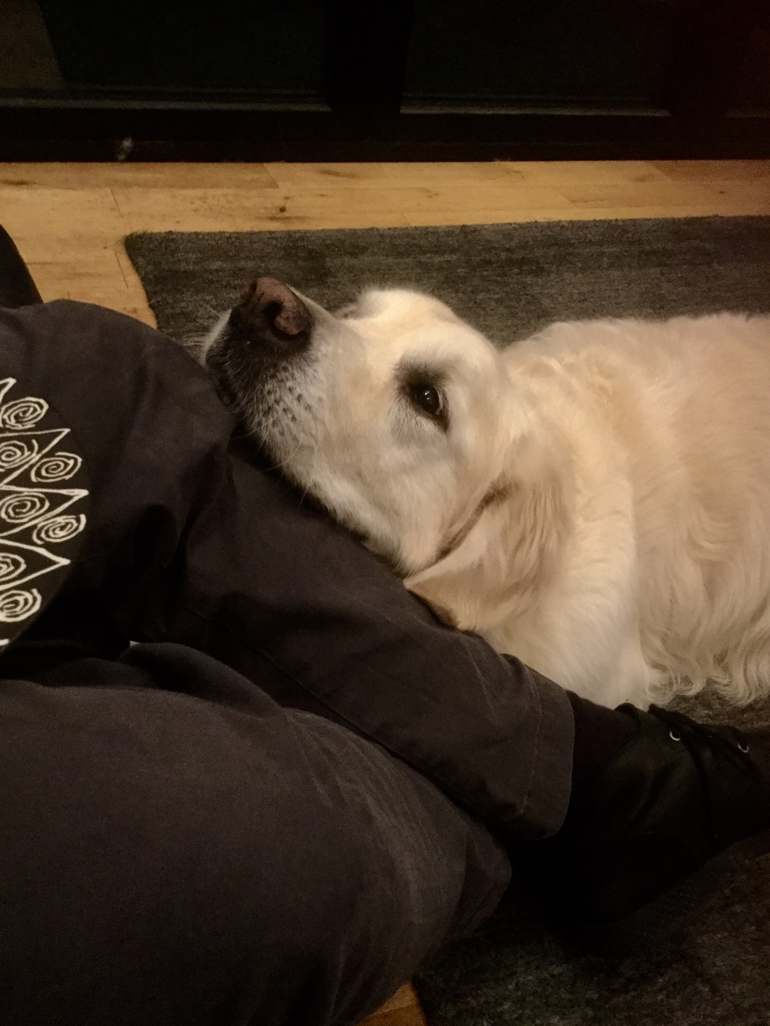 134AFBA4-BEAB-430F-8A26-D3DCA5D3E54F