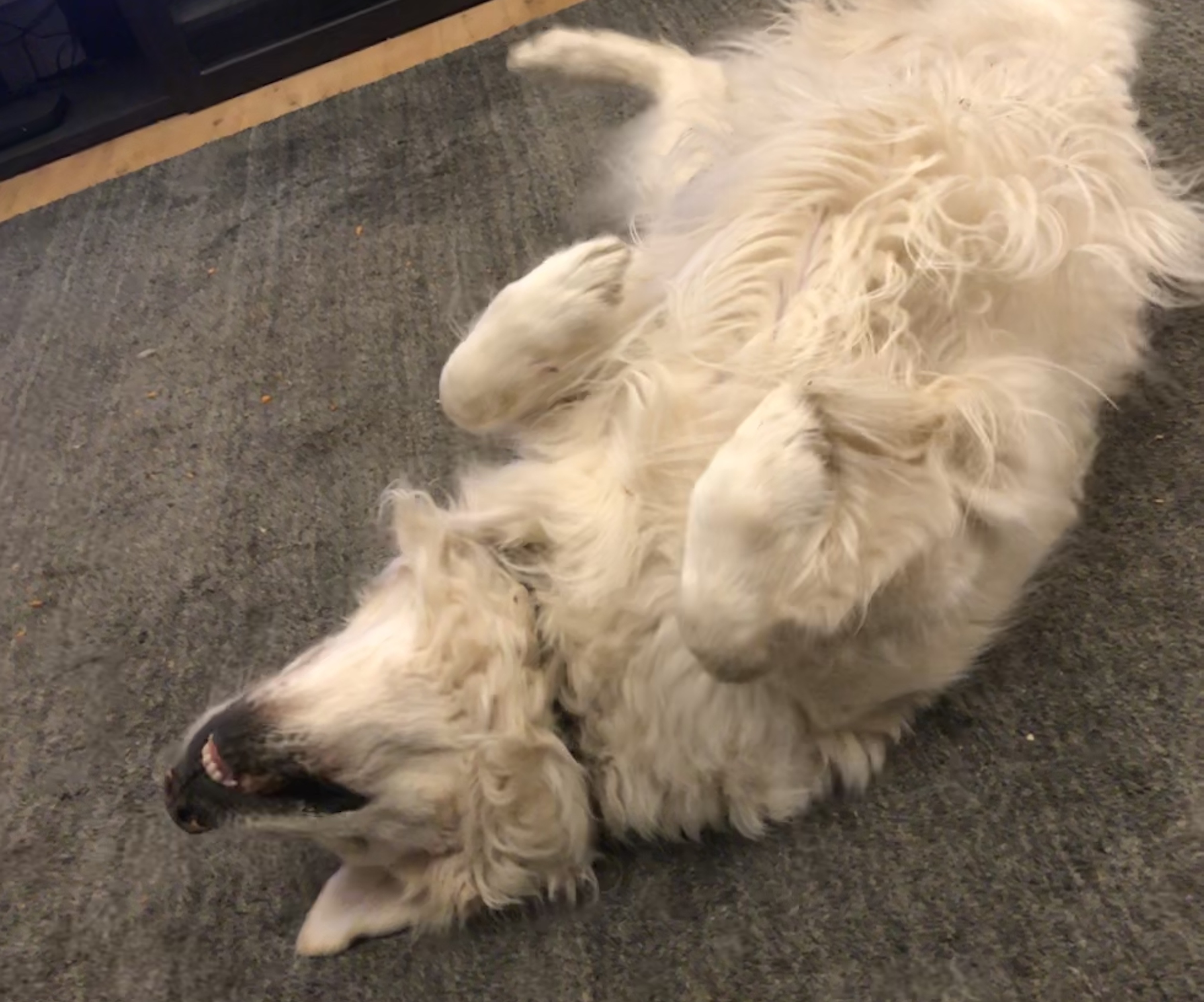 D525CB32-3CC6-48C0-8994-CBE0A4836AAA