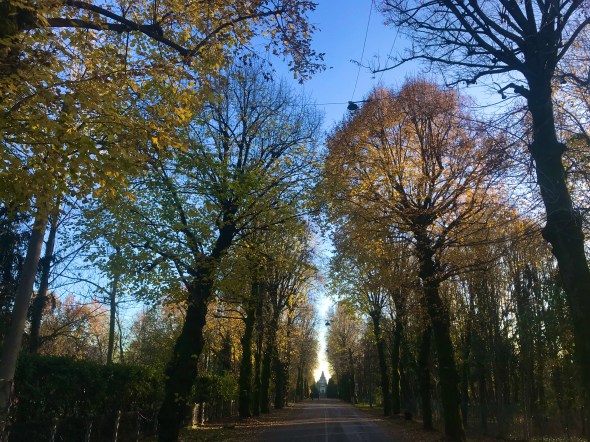 81865A87-8CD8-4028-BB8B-996CD75F176F